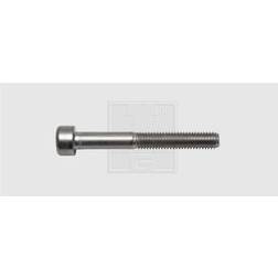 SWG Allen screws M6 Hex socket Allen DIN A2 40