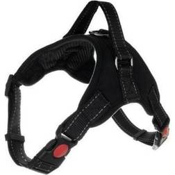 Iso Trade Trykfri Hundesele L