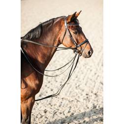 Horse Guard Webbing Sliding Rein