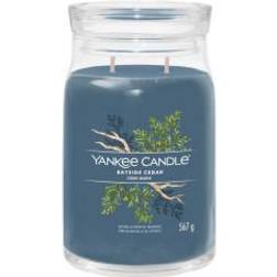 Yankee Candle Signature Jar Large Jar Bayside Cedar 567g Scented Candle