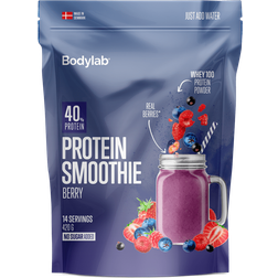 Bodylab Protein Smoothie Berry 420