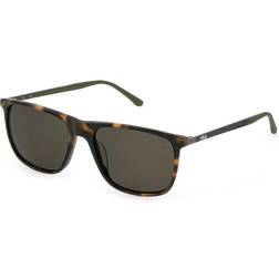 Fila SFI299V Polarized C10P