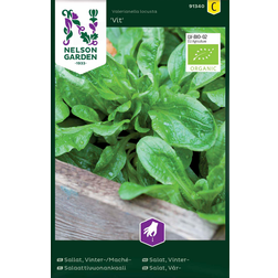 Nelson Garden Vårsalat Økol Grøntsagsfrø