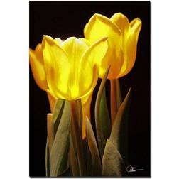 Trademark Fine Art Yellow Tulips III Guerra, 16x24-Inch Wall Decor