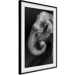 Artgeist Affisch Portrait of Elephant Poster