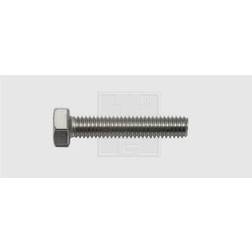 SWG Hexagon head screws M6 head A2