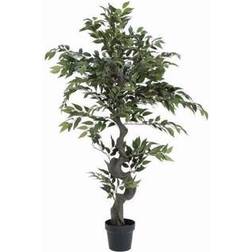 Europalms Ficus Forest Tree, plant, green Kunstig plante