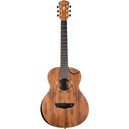 Washburn WCGM55K-D