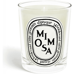 Diptyque Standard Scented Candle