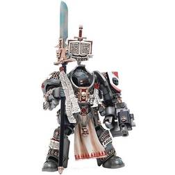 Joytoy Wh 40k Grey Knights Terminator Jaric Thule 1/18 F soldout DEC222611