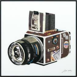 Empire Art Direct Williston Forge Halswell SLR Camera Alex Zeng Picture Graphic Framed Art 24x24"