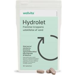 Wellvita Hydrolet 90 st