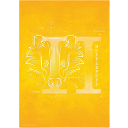 Warner Bros Harry Potter Hufflepuff Giclee Framed Art