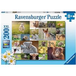 BRIO Ravensburger: Animal Babies XXL 200 Brikker