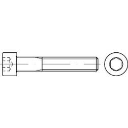 6X90 DIN 912 8.8 FZB cylinderhoved indv. 6-kt. 200