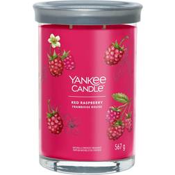 Yankee Candle Signature Red Ra.. Duftlys 104g