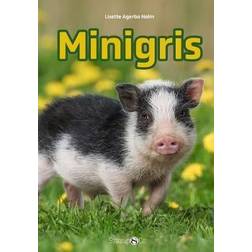 Mini: Minigris Lisette Agerbo Holm