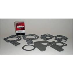 Simplicity B&S Kit-Carb Overhaul