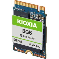 Kioxia KBG50ZNS256G 256GB