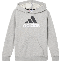 adidas Junior Essential Big Logo 2 Colored Hoodie - Medium Grey Heather/White