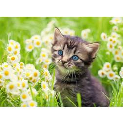 Ravensburger Kitten In The Meadow 500 Brikker