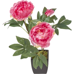 Homescapes Peonies Artificial Plant