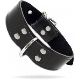Taboom Elegant D-Ring Collar