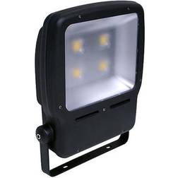 Robus Olympic Flood Light 200W