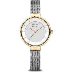 Bering Solar (14631-024)