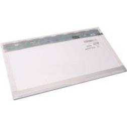 CoreParts Display Ricambio Per Notebook MSC173F50-119M