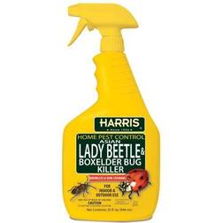 Harris Asian Lady Beetle & Box Elder Bug Killer