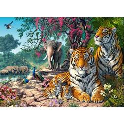 Castorland Tiger Sanctuary 300 Pieces