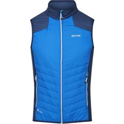 Regatta Halton VI Gilet Chauffant Léger Pour Homme Bleu