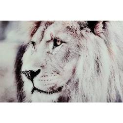 Nordic Furniture Lion Plakat 120x80cm