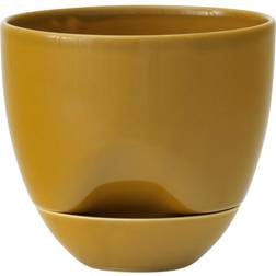 Menu Hydrous Planter Ø12 Krukke