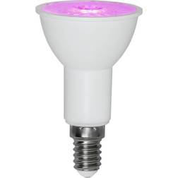 Star Trading LED spot växtlampa E14 3,5W