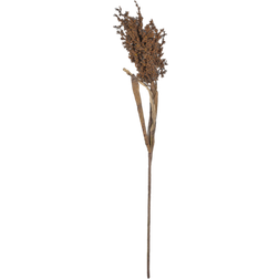 Villa Collection Twig Pampus Dekoration