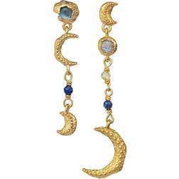 Maanesten Pheobe Earrings - Gold/Topaz/Lapiz/Peridot/Labradorite