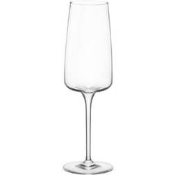 Bormioli Rocco Planeo Flute Champagne Glass 24cl 4pcs