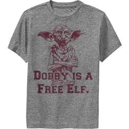 Harry Potter Boy's Dobby is Free Elf Child Performance Tee Charcoal heather