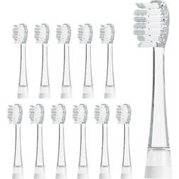 AILORIA Ailoria Bubble Brush Ersatzbürstenköpfe 12er