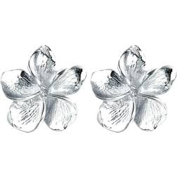 Elli Ladies Stud Earrings - Frangipani Flower