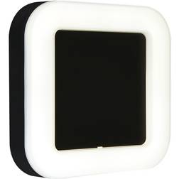 Briloner Riga LED Udendørslampe 19 x 19 cm IP44 Sort Vægarmatur