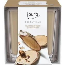 IPURO Essentials Cedar Wood Duftkerzen