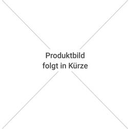 Weka Gerätehaus »Gartenhaus 325 Gr.3«, BxT: 205 Aufstellmaße, Satteldach (Gebäudefläche )