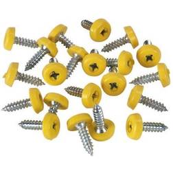 Sealey PTNP2 Number Plate Screw Enclosed Head Pack