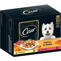 Cesar Kød & Grøntsager i gelé Økonomipakke: 96
