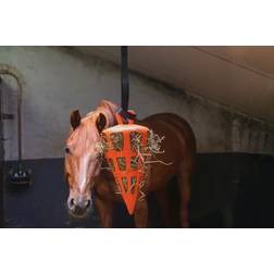 Excellent Slowfeeder Fun N Flex Carrot