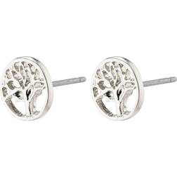 Pilgrim Iben Tree of Life Stud Earrings - Silver