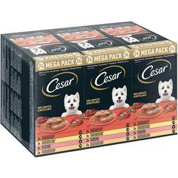 Cesar Megapack Klassik-Terrine Hundenassfutter